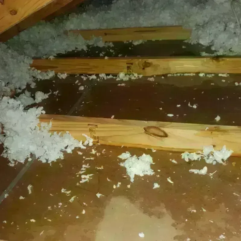 Attic Water Damage in Big Rock, IL