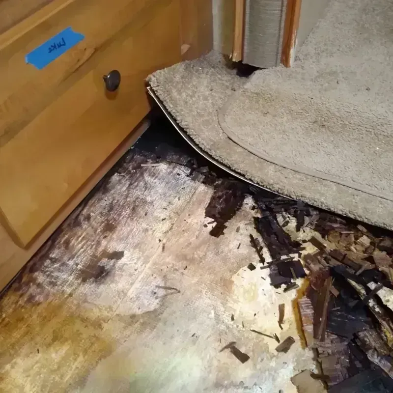 Wood Floor Water Damage in Big Rock, IL